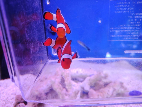 IMG_1062.jpeg