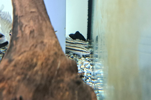 20261024_173558.jpg