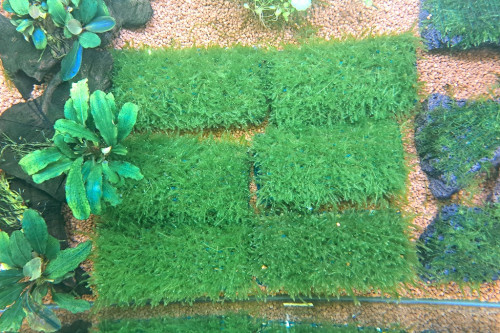 20261024_174129.jpg