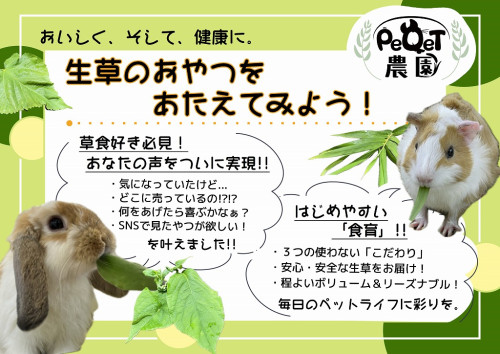 生草おやつ与えよう 販促A3×4.jpg