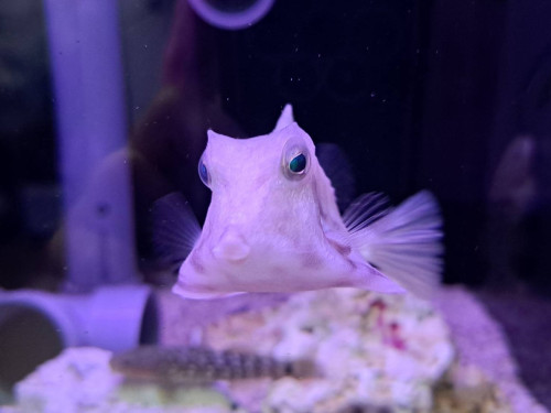 IMG_1107.jpeg