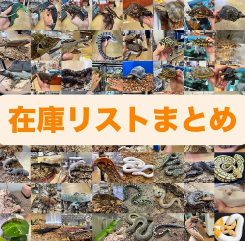 S__123043844.jpg