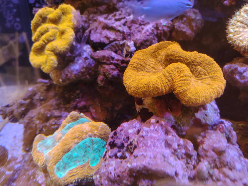 IMG_1134.jpeg