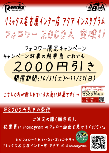 インスタ2000メイン.png