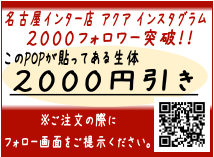 インスタ2000対象.png