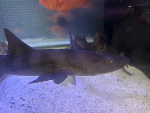 IMG_1205.jpeg