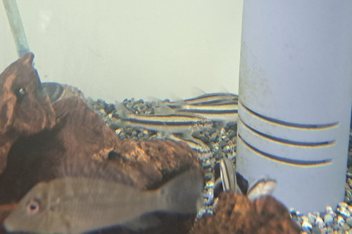 20261031_180839.jpg