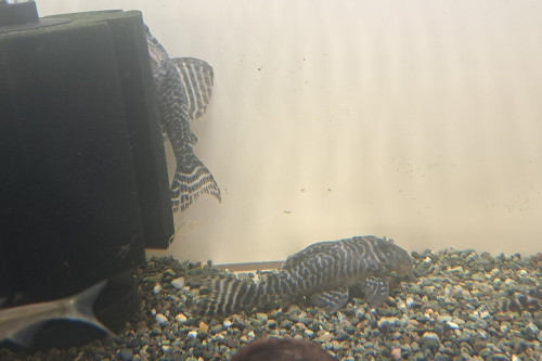 20261031_181233.jpg