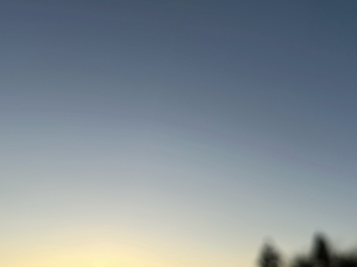 あけましておめでとうございます