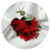 250302040228-67c359c447691_l.png