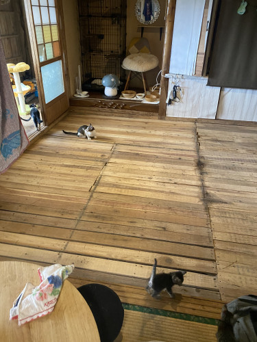IMG_2068.jpeg