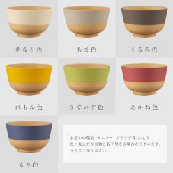 やさしい彩り 抗菌丼