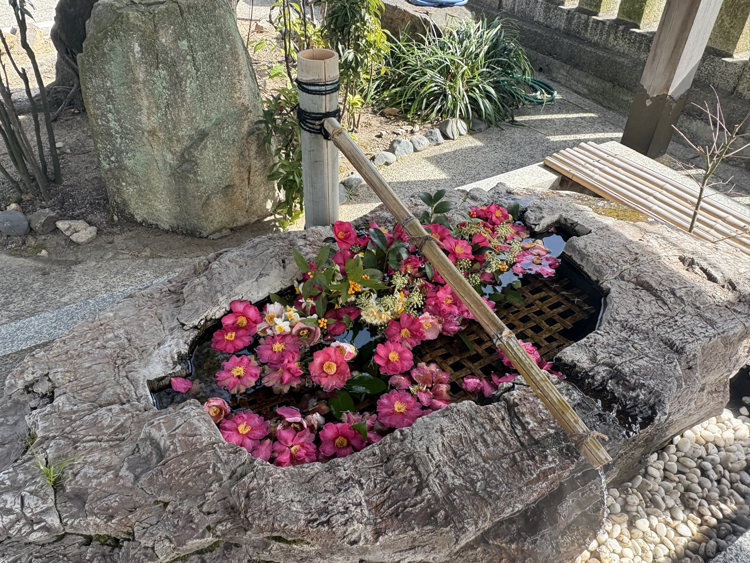 阿智神社（岡山県倉敷市）