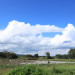 0M8A0480.JPG