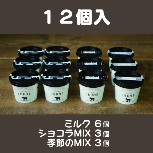 アイス12個セット