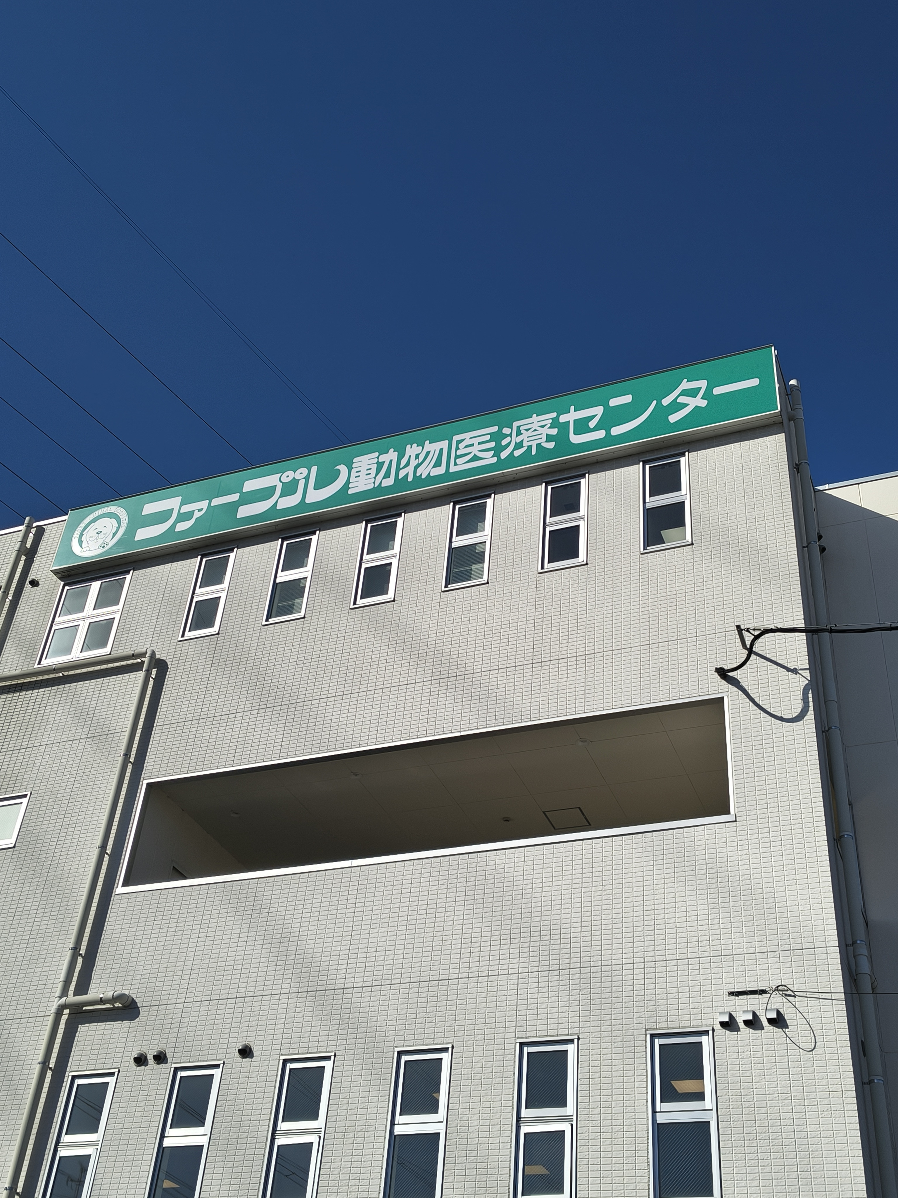 しゆじゅつ～