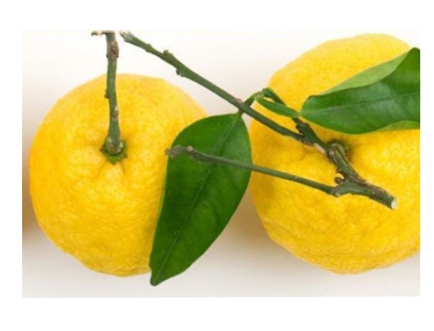 黄柚子の酵素とオーガニックコスメ作り