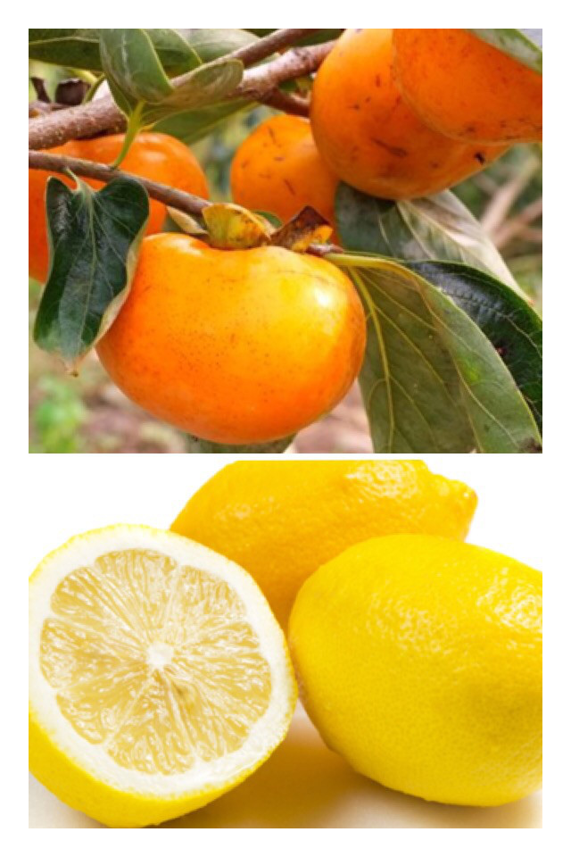 無農薬　梅と柚子のフルーツ酵素&柚子アロマのバスソルト