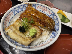 海水うなぎ１.jpg