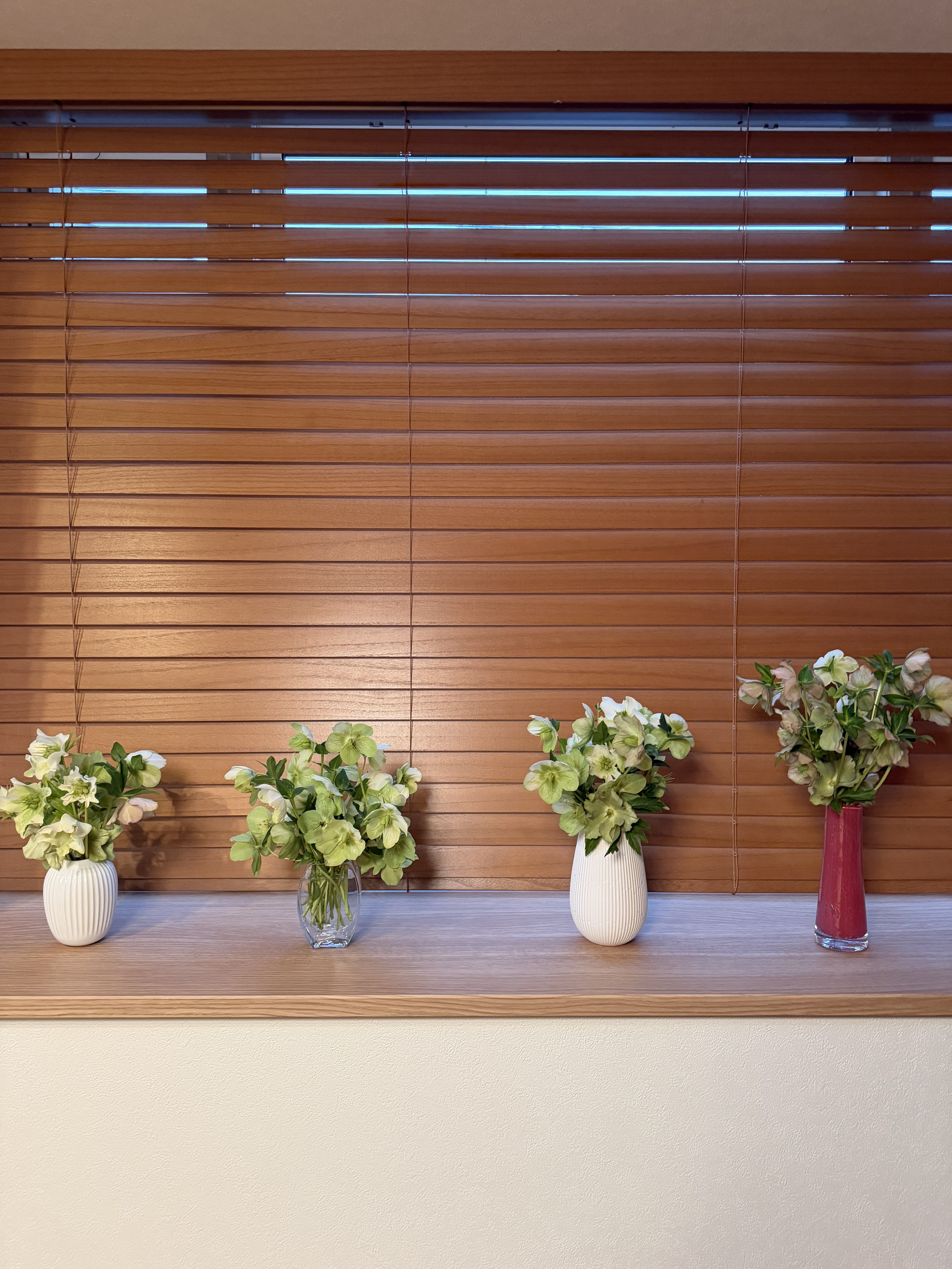 庭の花を切り取って