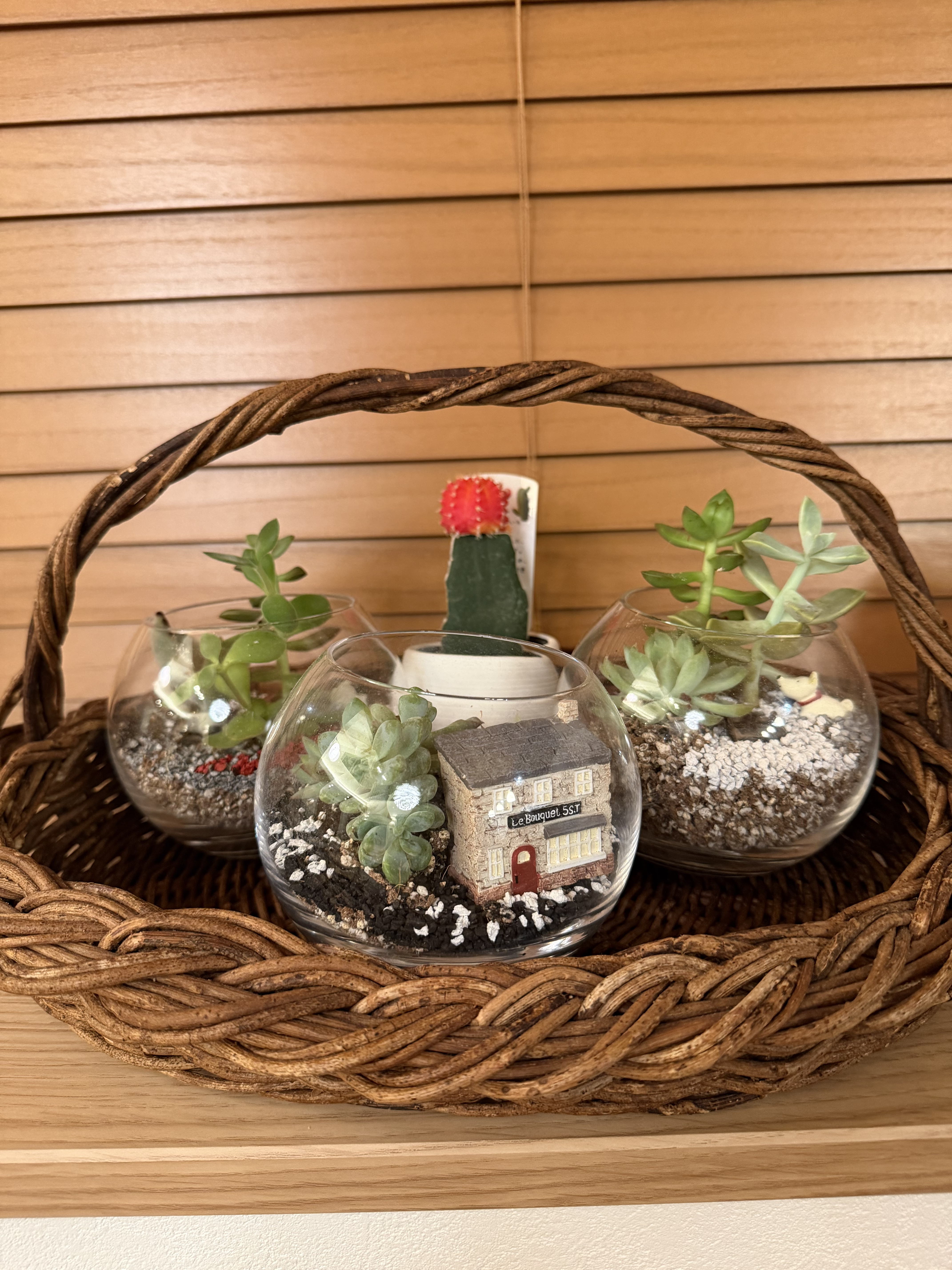 籠に植物を