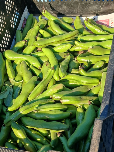 20260505_171442.jpg