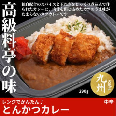 とんかつカレー.JPG
