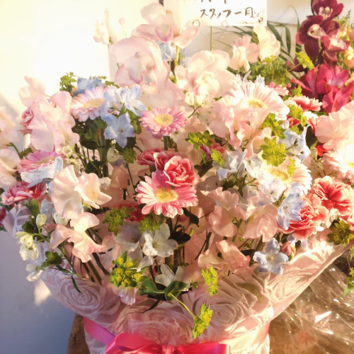 IMG_20250302_091518_608.jpg