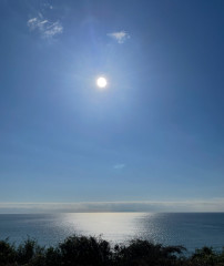 IMG_3676.jpeg