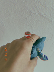 IMG_6046.jpeg