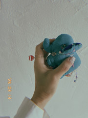 IMG_6043.jpeg