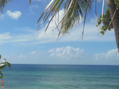 DSCN4737.JPG