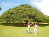 DSCN4650.JPG