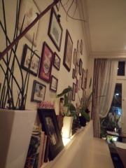 DSCN5293.JPG