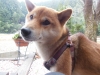 DSCN5256.JPG