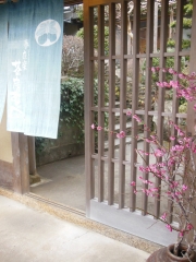 DSCN5369.JPG