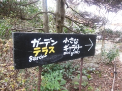 DSCN5365.JPG