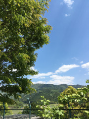 F423317C-E5EF-45A8-BD75-288E34B4C565.jpeg