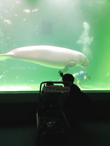 71C06891-5D84-49BE-984D-A4B02C74860C.jpeg