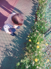 DB2DABCC-6702-4E5D-8DAC-3EC9188E6379.jpeg