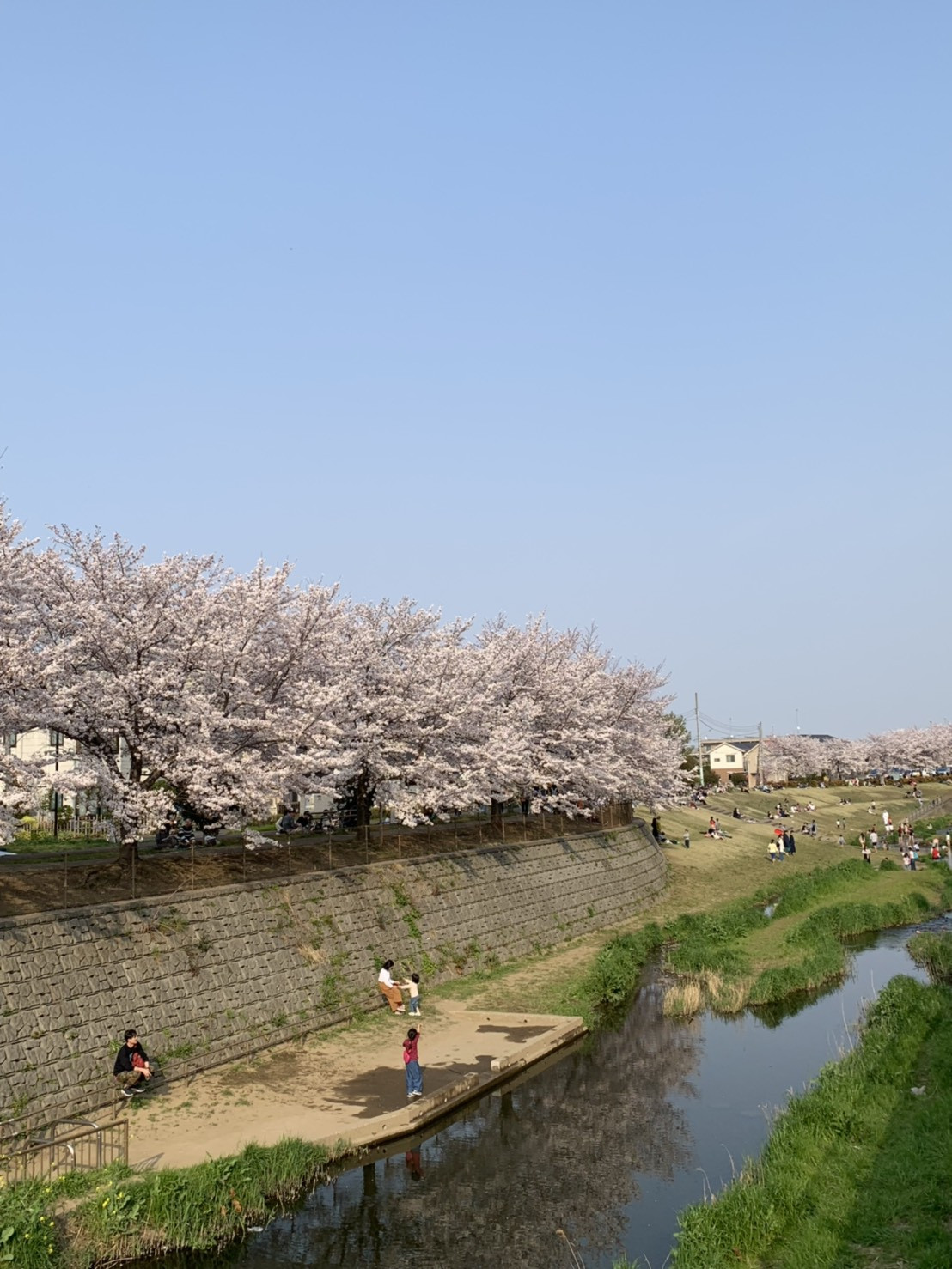 春の新規生徒募集のお知らせ♪