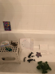 B626133E-B070-4F0F-BC15-FD50FB02CB2D.jpeg