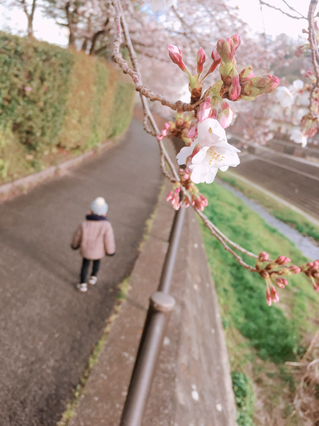 3AE8D7BD-0A54-4E83-AA53-AA6158791622.jpeg