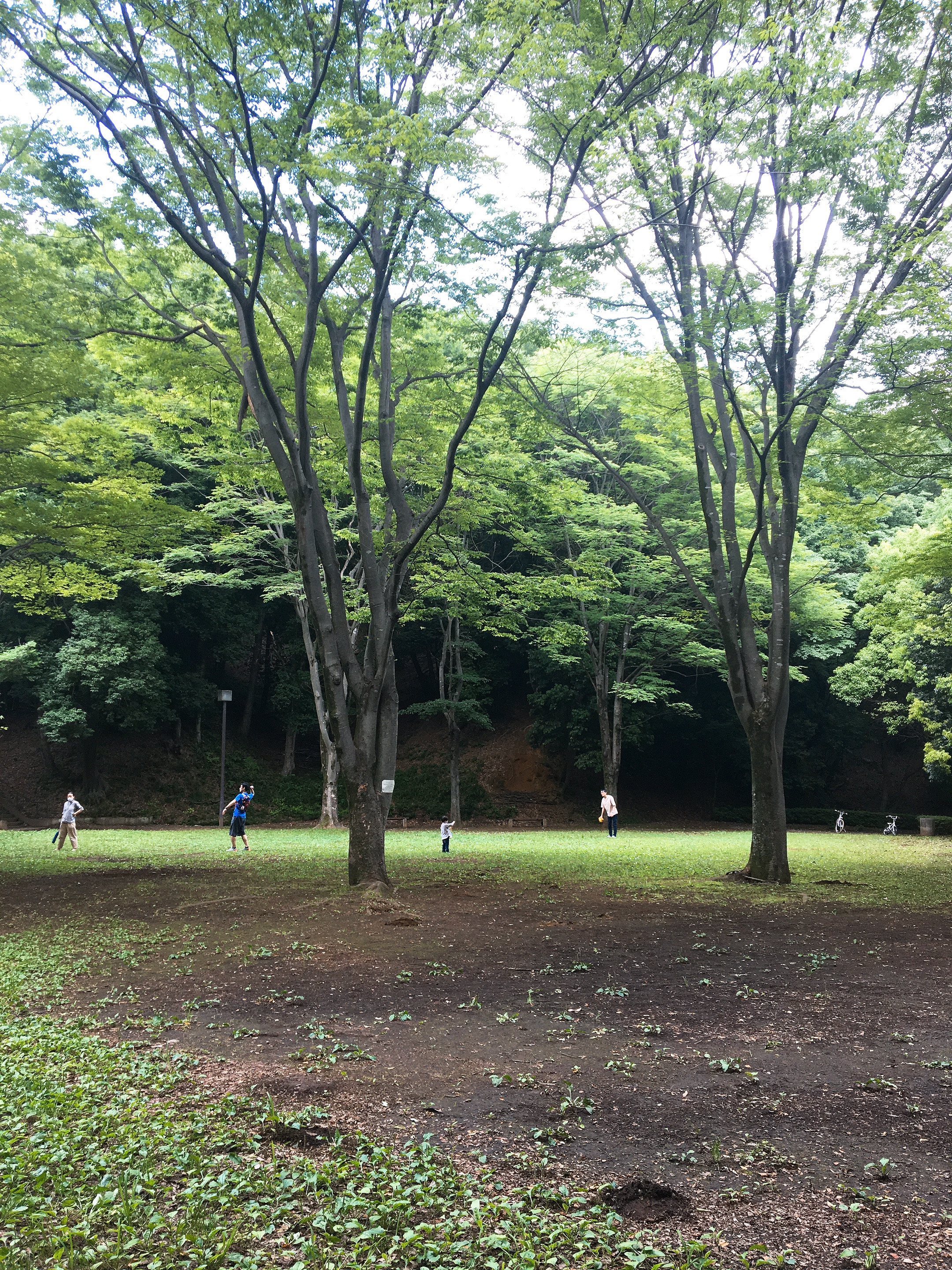 【New】新規生徒募集のご案内