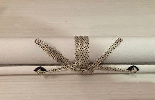 特別展示のお知らせ