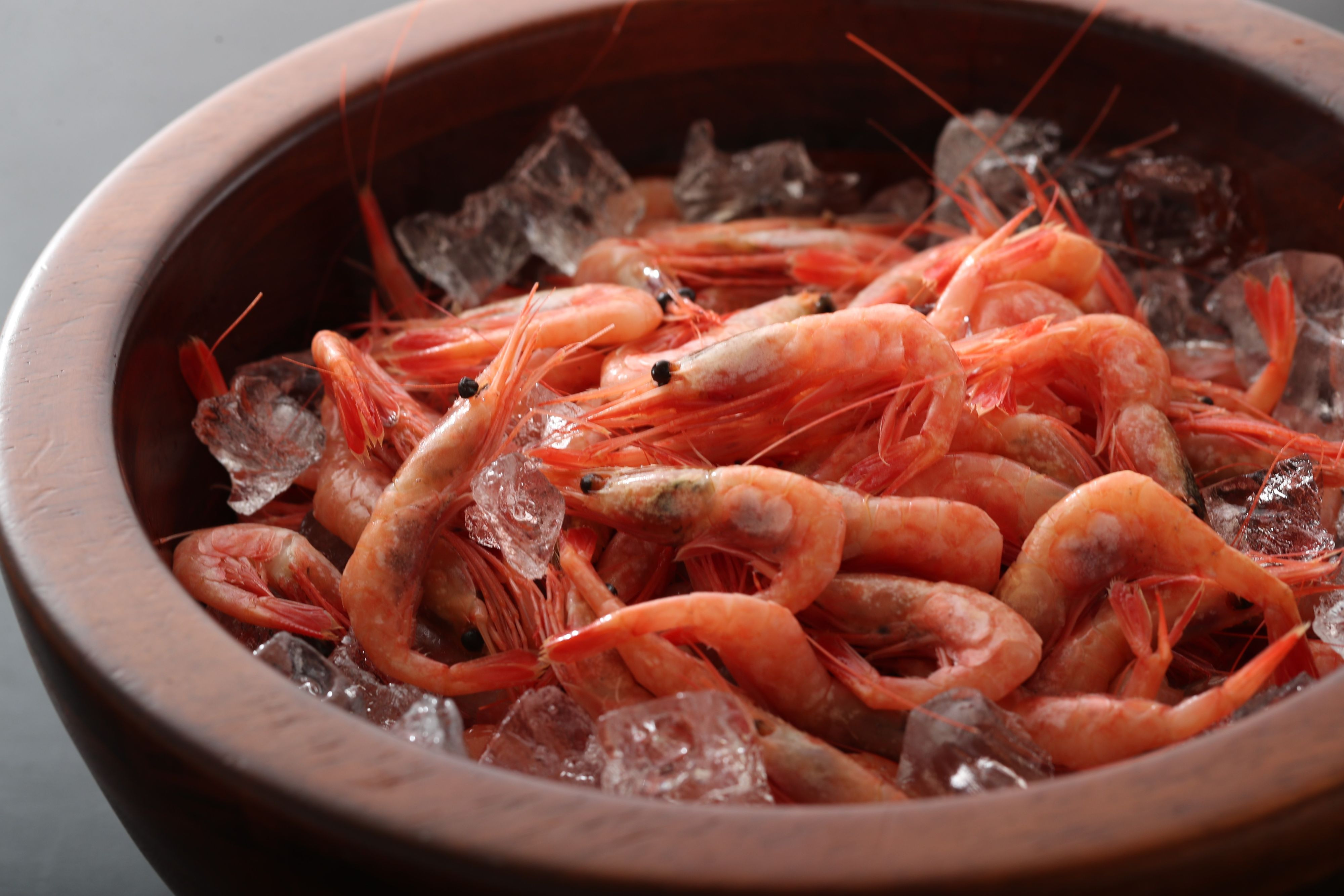 最近のお仕事紹介154