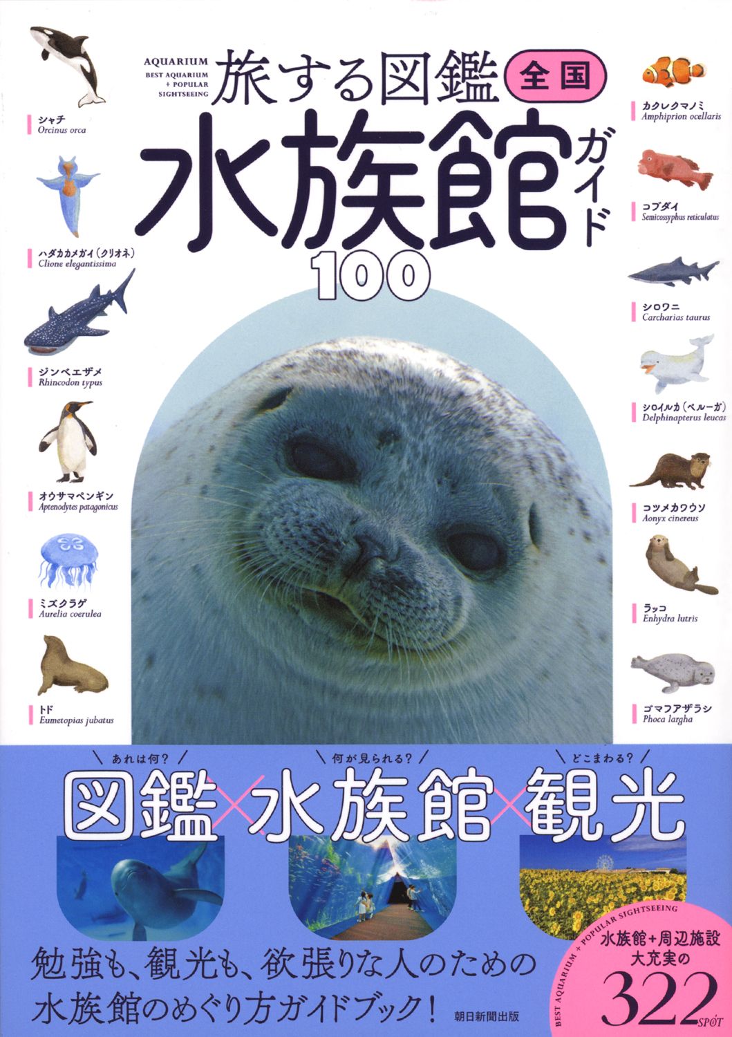 最近のお仕事紹介172