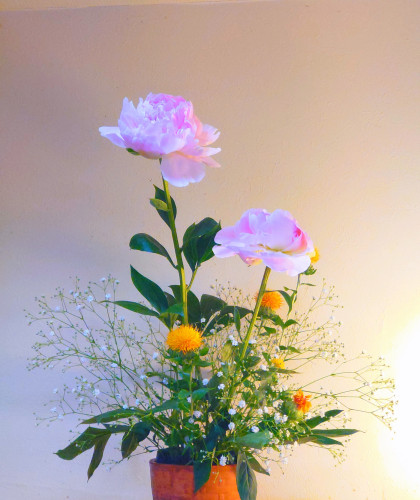 original_3d406852-824a-45dd-b5ec-16275ee3aa6f_20250611_162026.JPG