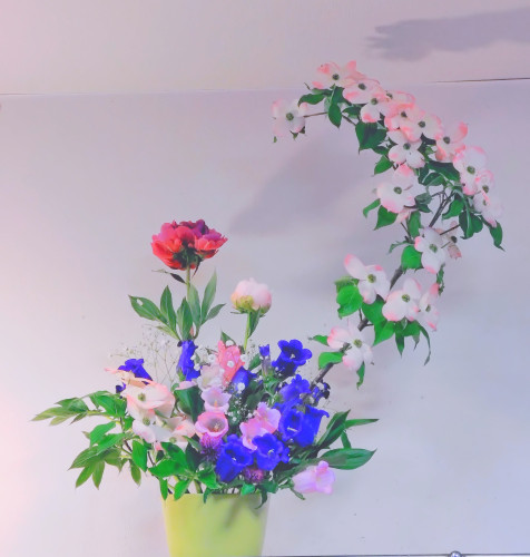 連休が始まりました