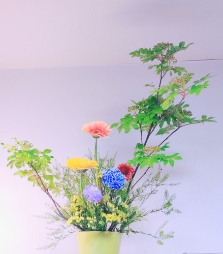 はしり梅雨の季節